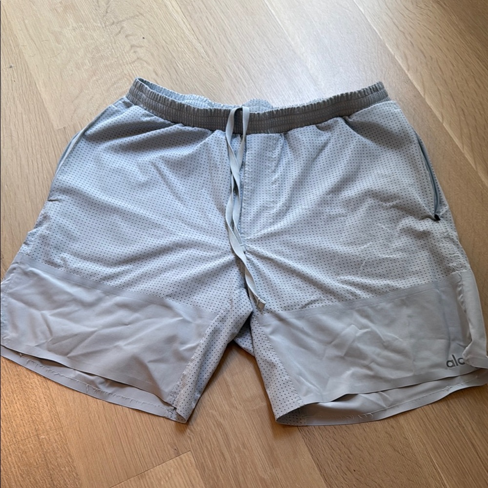 ALO Yoga Gray Athletic Shorts with Elastic Waistband